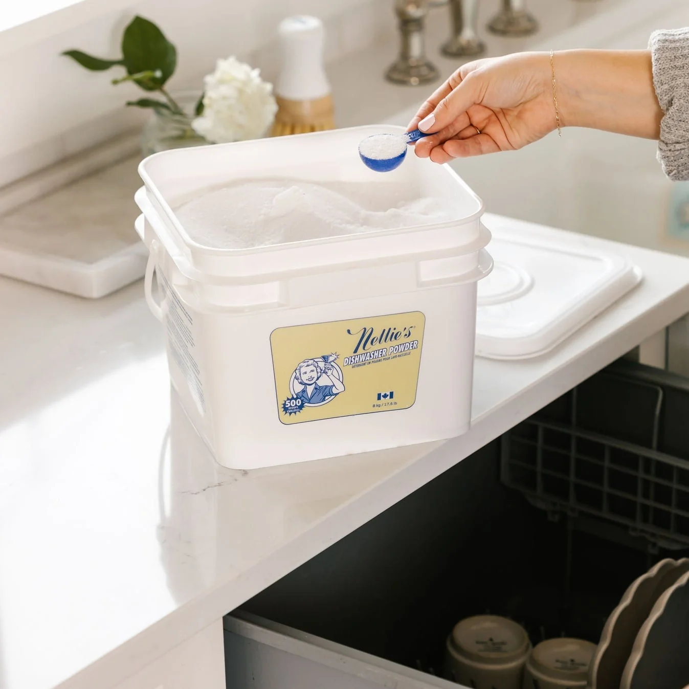 Dishwasher Powder - Image 8
